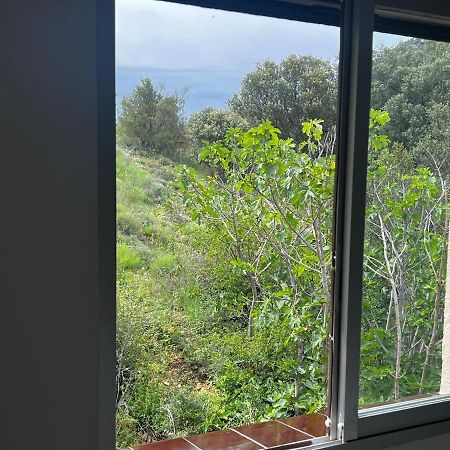 Apartaments La Pertusa 2O Corca  Bagian luar foto